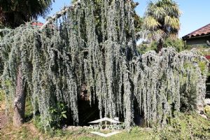 Villa vendita Moncalieri Strada Revigliasco 91/Bis