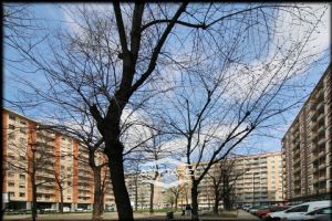 5 Locali vendita Torino Piazza Montanari 166