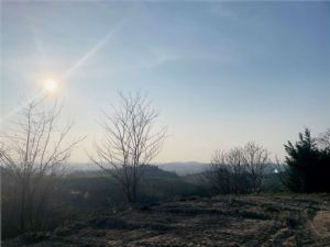 MONGARDINO VILLA PANORAMICA IN COSTRUZIONE