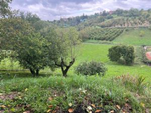 PORTACOMARO VILLA CON 2500 CIRCA DI TERRENO