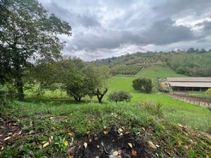 PORTACOMARO VILLA CON 2500 CIRCA DI TERRENO