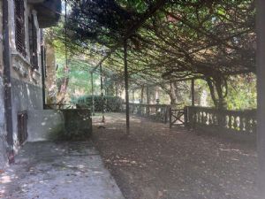 EX AZIENDA AGRICOLA CON RESIDENZA DEL 700 E PARCO