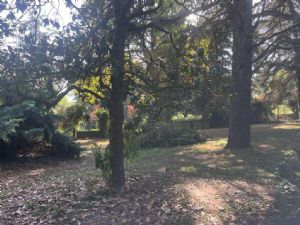 EX AZIENDA AGRICOLA CON RESIDENZA DEL 700 E PARCO