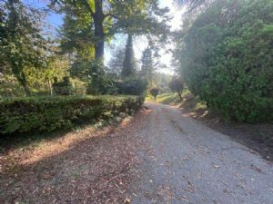 EX AZIENDA AGRICOLA CON RESIDENZA DEL 700 E PARCO