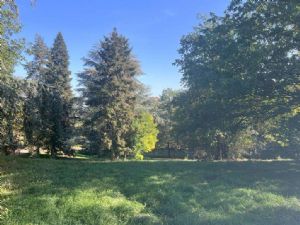 EX AZIENDA AGRICOLA CON RESIDENZA DEL 700 E PARCO