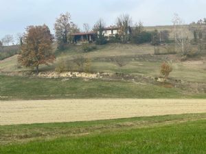 VAGLIERANO-CASALE CON TERRENO