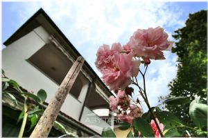 3 locali con giardino a Santena