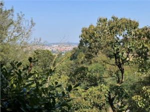 A pochi minuti dal centro Villetta panoramica