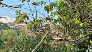 MONTECHIARO D'ASTI VILLA CON VISTA