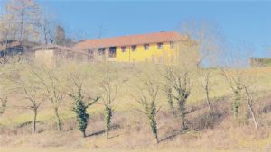 CASCINA LIBERA SU 4 LATI PANORAMICA CON TERRENO