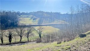 CASCINA LIBERA SU 4 LATI PANORAMICA CON TERRENO