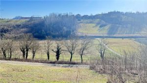 CASCINA LIBERA SU 4 LATI PANORAMICA CON TERRENO