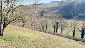 CASCINA LIBERA SU 4 LATI PANORAMICA CON TERRENO