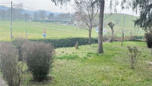 ISOLA D'ASTI- ALLOGGIO PANORAMICO CON BOX