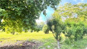 CASCIINA PIEMONTESE LIBERA SU 3 LATI CON TERRENO