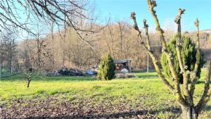 CASCIINA PIEMONTESE LIBERA SU 3 LATI CON TERRENO