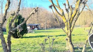 CASCIINA PIEMONTESE LIBERA SU 3 LATI CON TERRENO