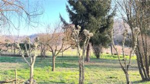CASCIINA PIEMONTESE LIBERA SU 3 LATI CON TERRENO