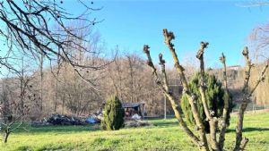 CASCIINA PIEMONTESE LIBERA SU 3 LATI CON TERRENO