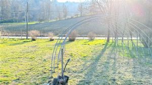 CASCIINA PIEMONTESE LIBERA SU 3 LATI CON TERRENO