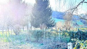 CASCIINA PIEMONTESE LIBERA SU 3 LATI CON TERRENO