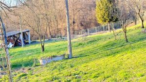 CASCIINA PIEMONTESE LIBERA SU 3 LATI CON TERRENO