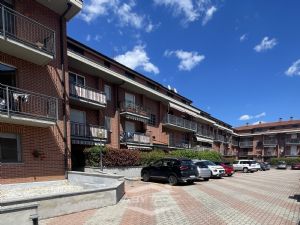 Bilocale con giardino in palazzina recente a NIchelino