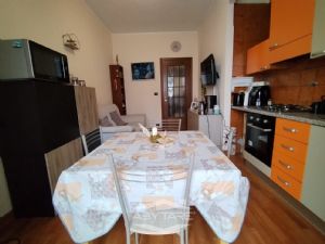 TRILOCALE ZONA POZZO STRADA
