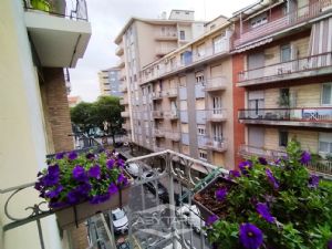 TRILOCALE ZONA POZZO STRADA