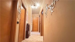ZONA EST - 7 VANI CON BOX