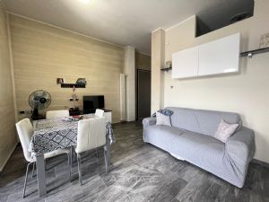 Bilocale ristrutturato Via Assietta Nichelino