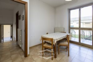 ampio 3 locali libero subito!