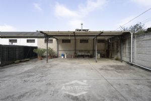 ampio 3 locali libero subito!