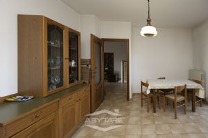 ampio 3 locali libero subito!