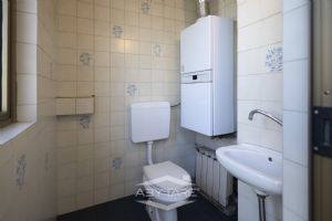 ampio 3 locali libero subito!