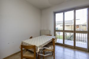 ampio 3 locali libero subito!