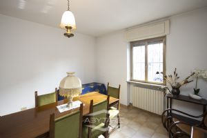 ampio 3 locali libero subito!