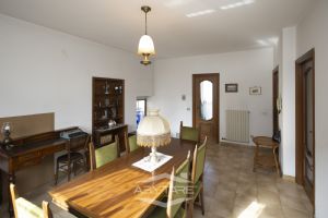 ampio 3 locali libero subito!