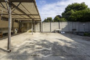 ampio 3 locali libero subito!