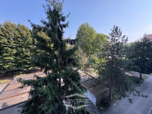 5 LOCALI CON DOPPI SERVIZI MIRAFIORI SUD