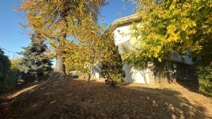 Casa indipendente con giardino e box auto in affitto