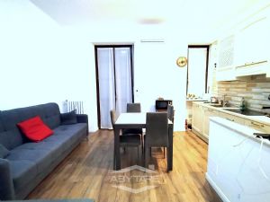 BILOCALE FINEMENTE RISTRUTTURATO E VOLENDO BOX AUTO DOPPIO