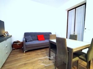 BILOCALE FINEMENTE RISTRUTTURATO E VOLENDO BOX AUTO DOPPIO