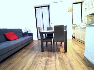 BILOCALE FINEMENTE RISTRUTTURATO E VOLENDO BOX AUTO DOPPIO