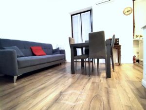 BILOCALE FINEMENTE RISTRUTTURATO E VOLENDO BOX AUTO DOPPIO