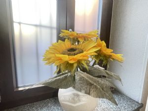 Quadrilocale con terrazzo e giardino vendita Moncalieri Via Cristoforo Colombo 6