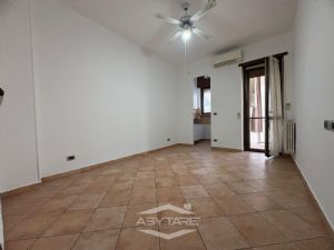 BILOCALE OTTIMO STATO  INTERNO NICHELINO