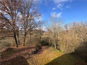 BALDICHIERI-BIFAMILIARE CON INGRESSO PRIVATO