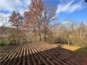 BALDICHIERI-BIFAMILIARE CON INGRESSO PRIVATO