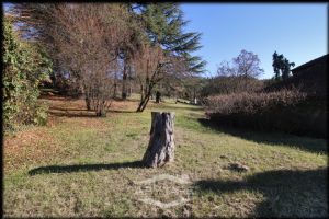 DIMORA STORICA RISTRUTTURATA CON PARCO E TERRAZZO